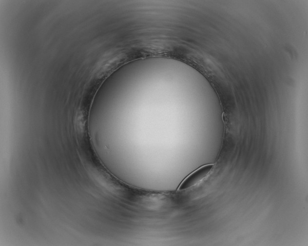 X0000112050086200908181145