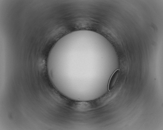 X0000112050087200908181145