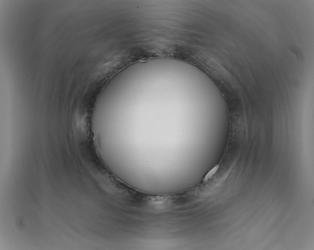 X0000112050088200908181145