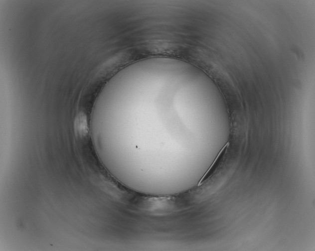 X0000112050089200908181145