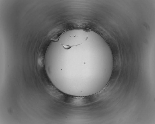 X0000112050090200908181145