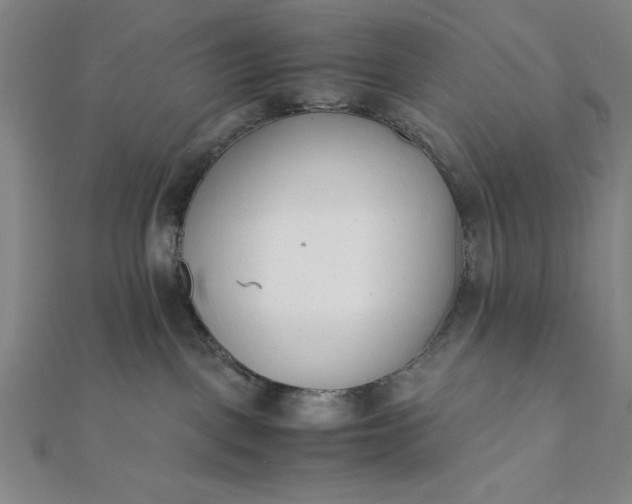 X0000112050093200908181145