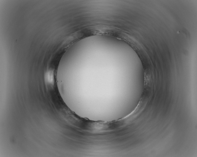 X0000112050094200908181145