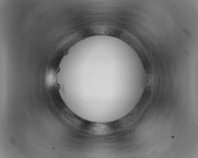 X0000112050095200908181145