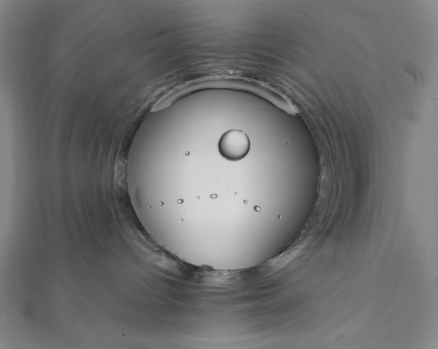 X0000112050096200908181145