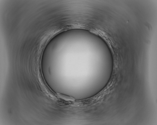 X0000112050097200908181145