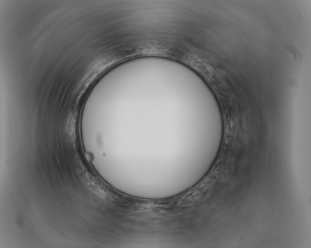 X0000112050098200908181145