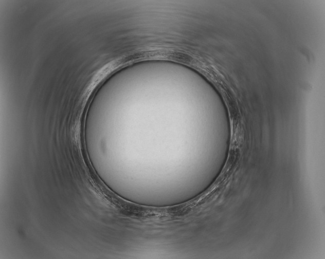 X0000112050099200908181145