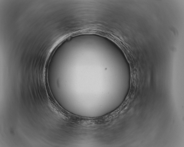 X0000112050100200908181145