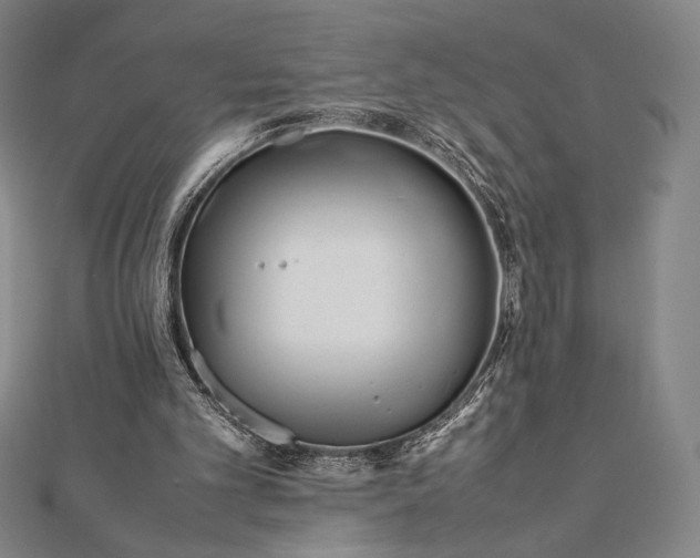 X0000112050101200908181145