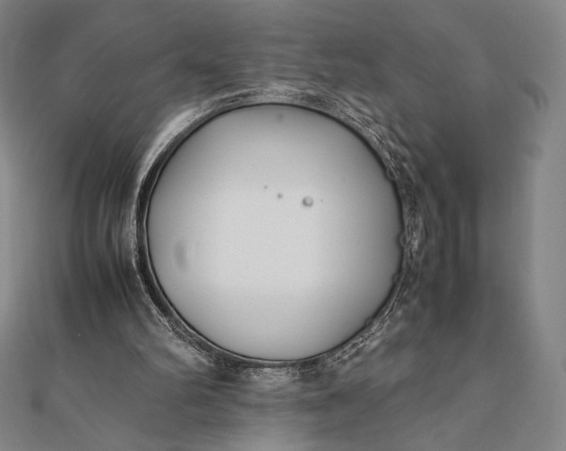 X0000112050102200908181145