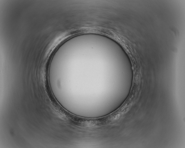 X0000112050103200908181145