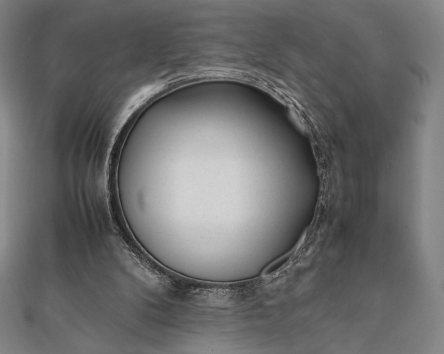 X0000112050104200908181145