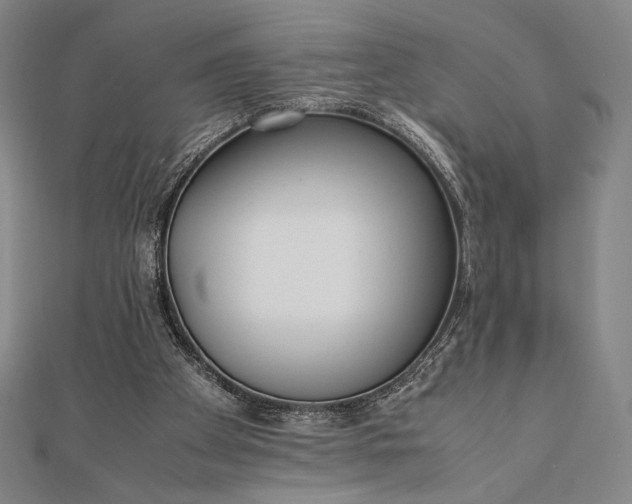 X0000112050105200908181145