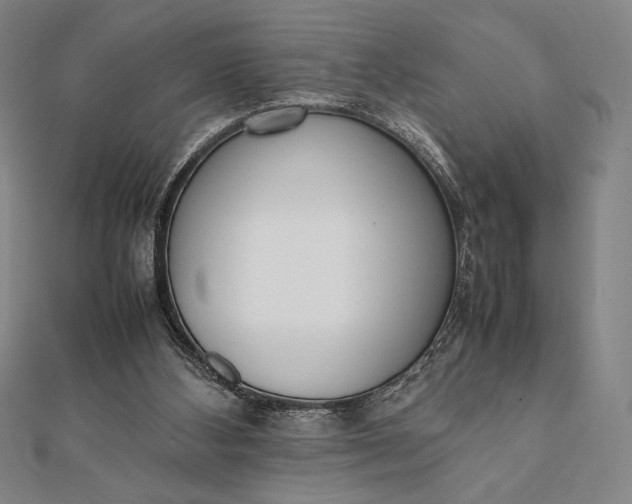 X0000112050108200908181145