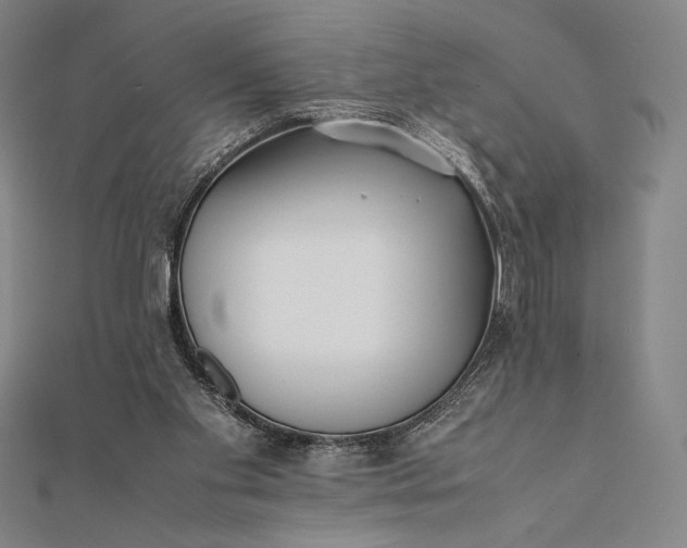 X0000112050109200908181145