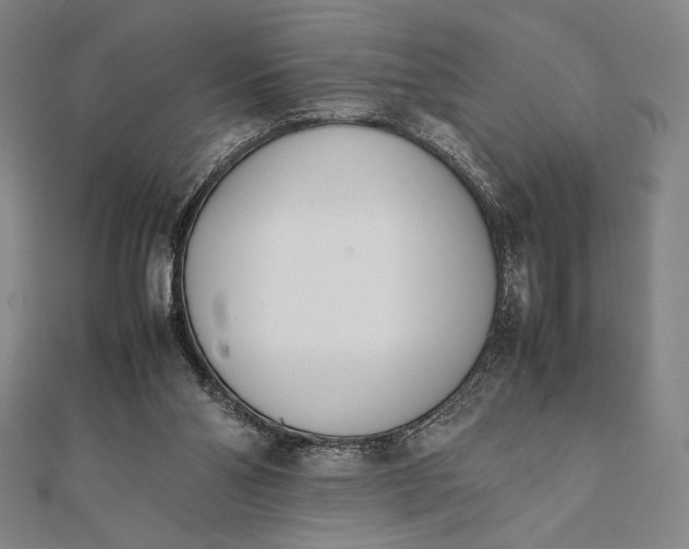 X0000112050110200908181145