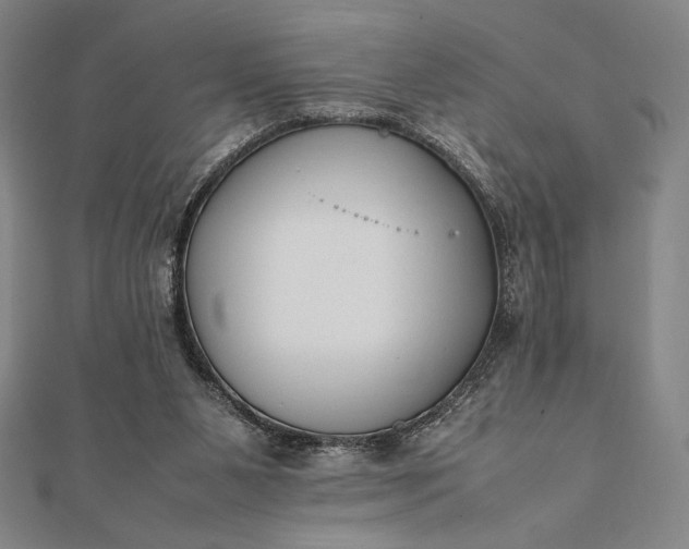 X0000112050111200908181145