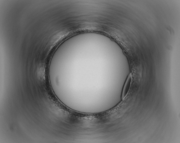 X0000112050112200908181145