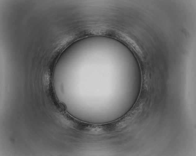 X0000112050113200908181145