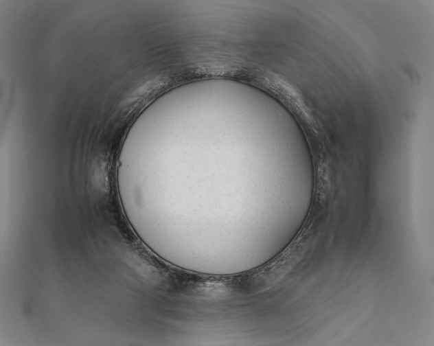 X0000112050114200908181145