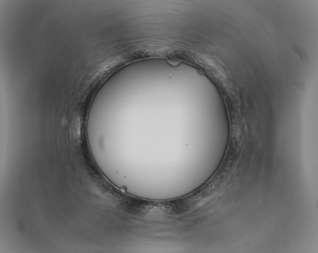 X0000112050115200908181145