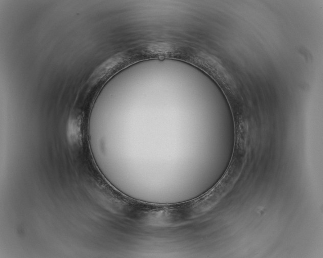 X0000112050116200908181145