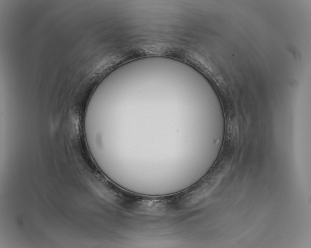 X0000112050117200908181145