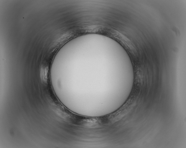 X0000112050118200908181145