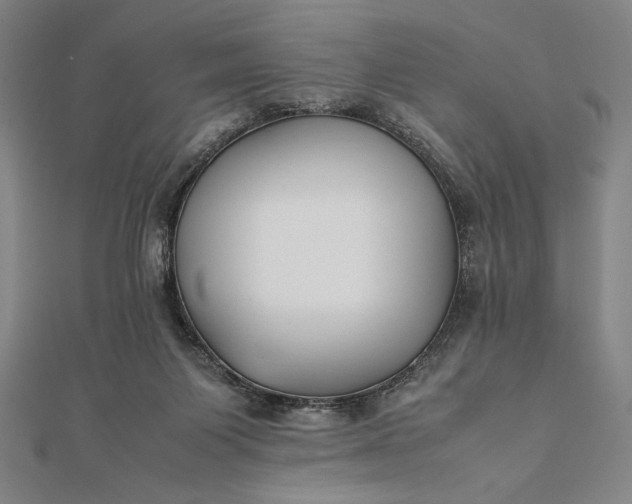 X0000112050119200908181145