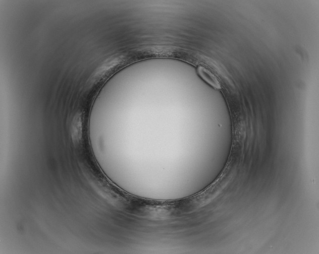 X0000112050120200908181145