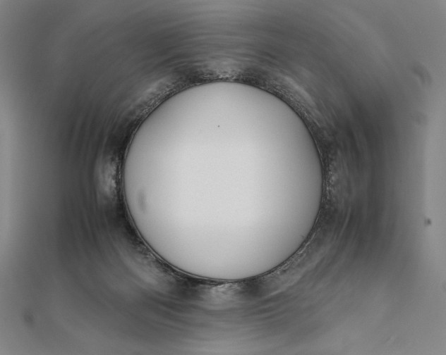 X0000112050122200908181144