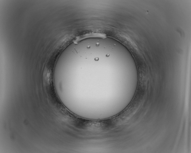 X0000112050123200908181144