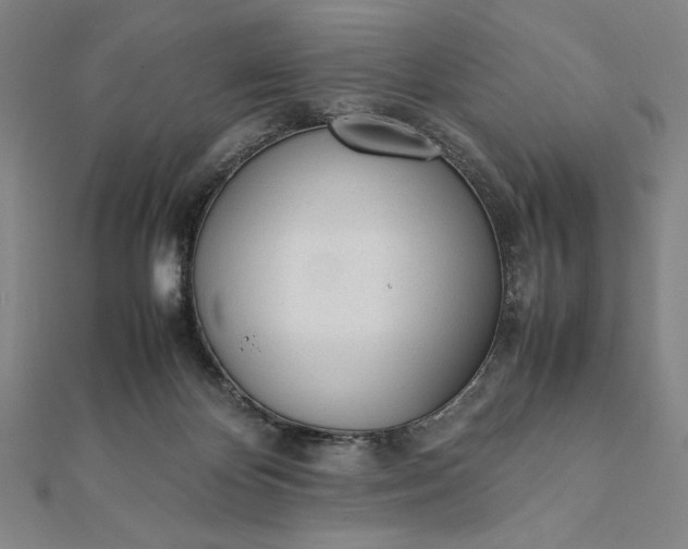 X0000112050124200908181144