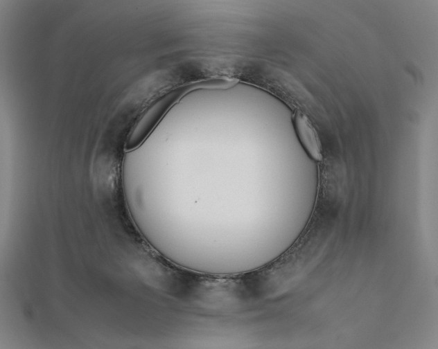 X0000112050125200908181144