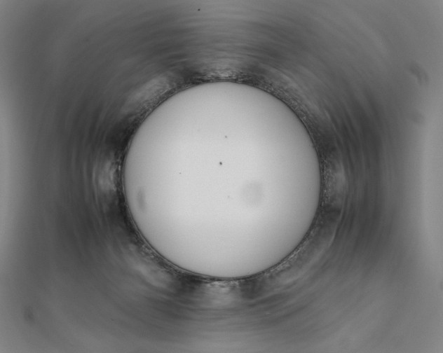 X0000112050126200908181144