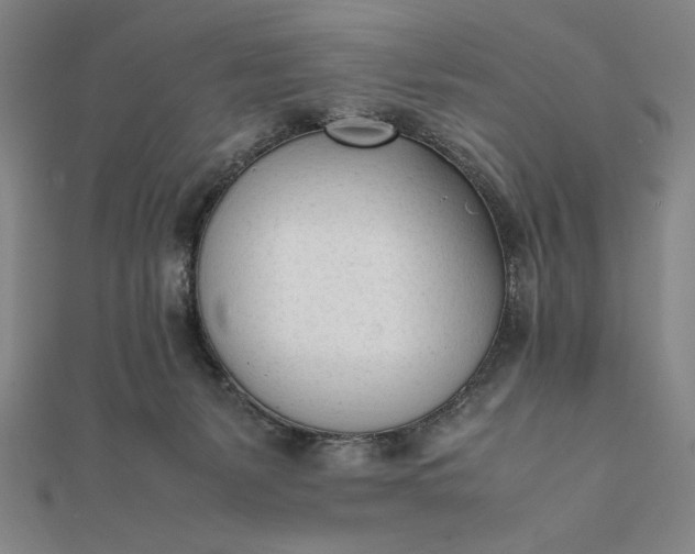 X0000112050127200908181144