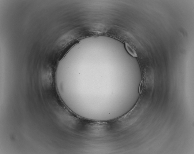 X0000112050128200908181144