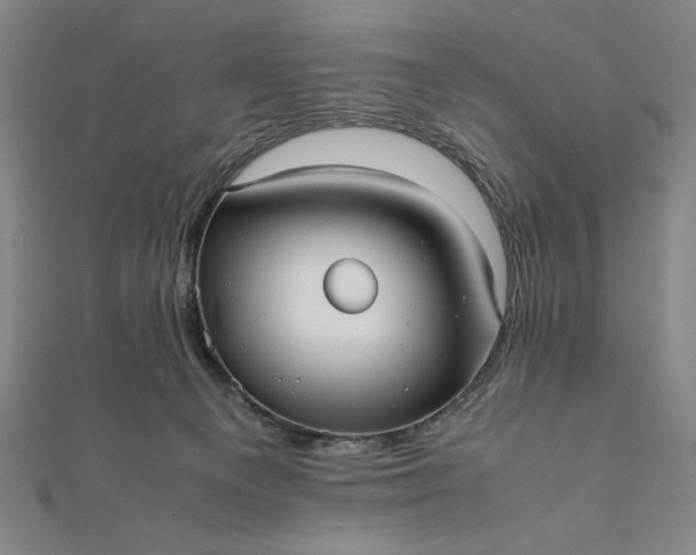 X0000112050129200908181144