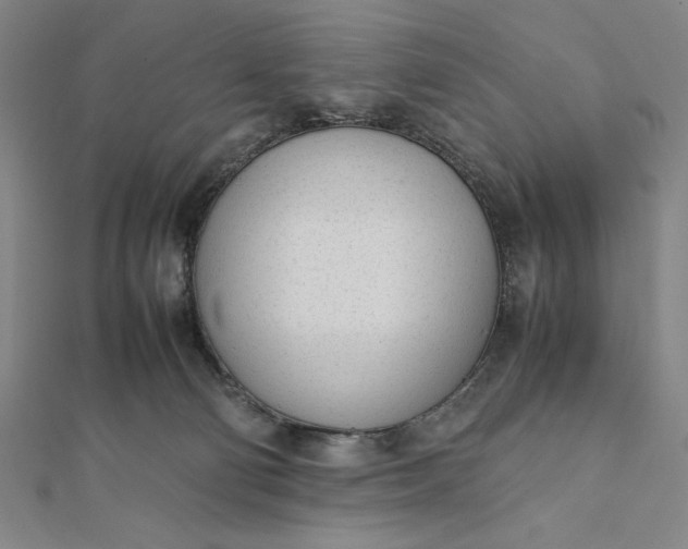 X0000112050130200908181144