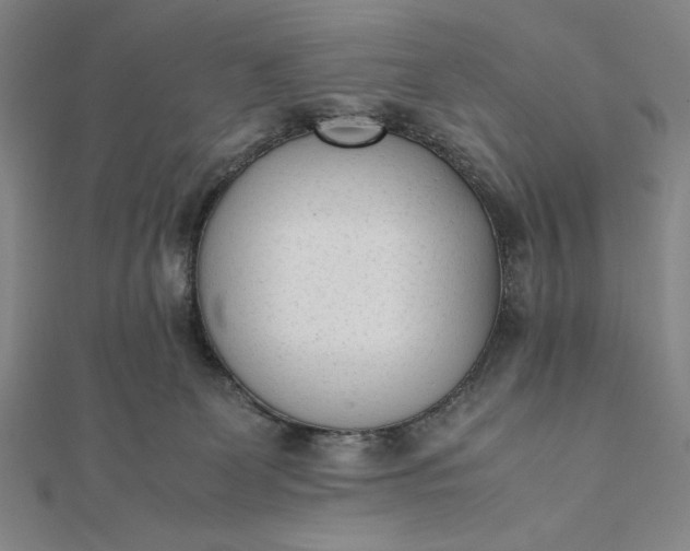 X0000112050131200908181144