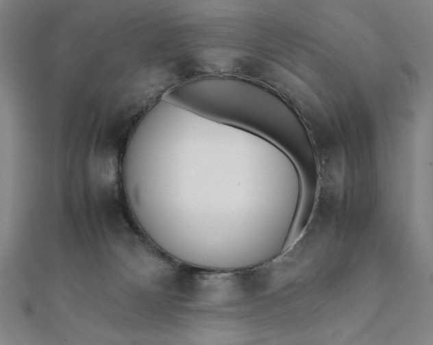 X0000112050132200908181144