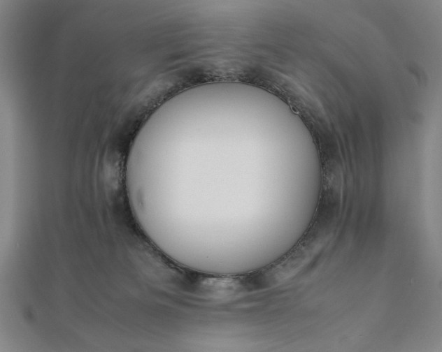 X0000112050133200908181144