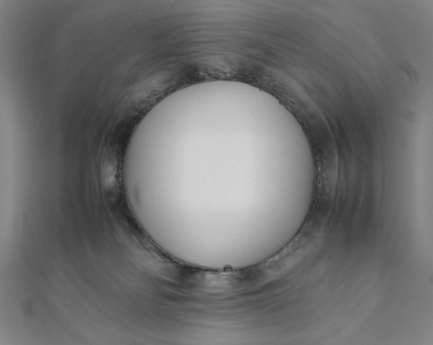 X0000112050134200908181144