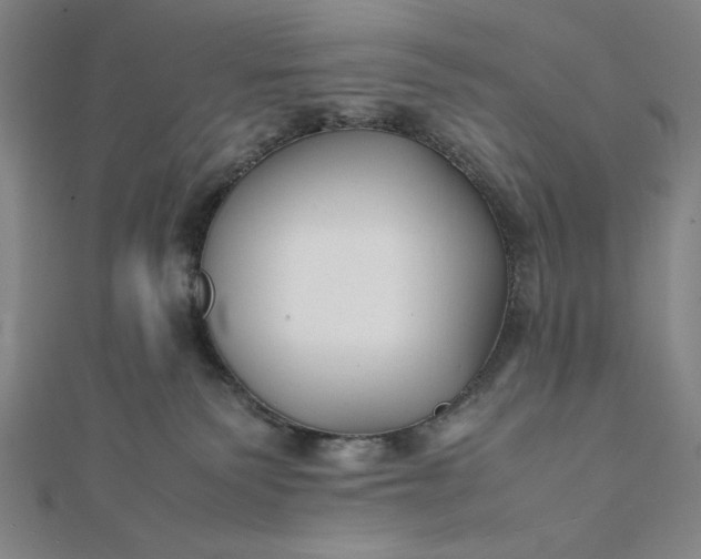 X0000112050135200908181144