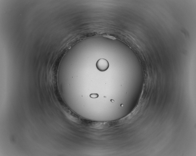 X0000112050136200908181144