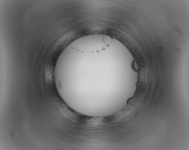 X0000112050138200908181144