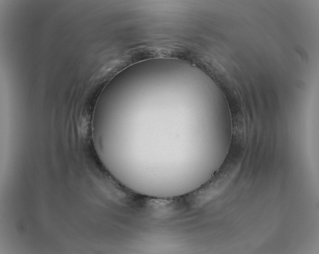 X0000112050139200908181144