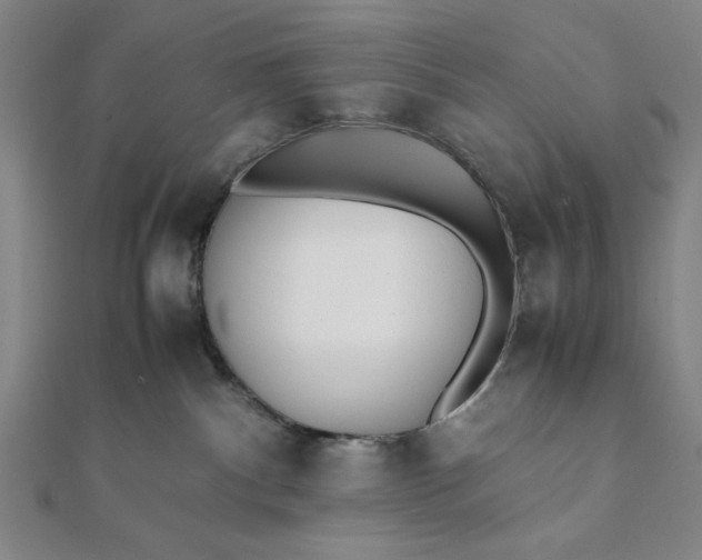 X0000112050140200908181144