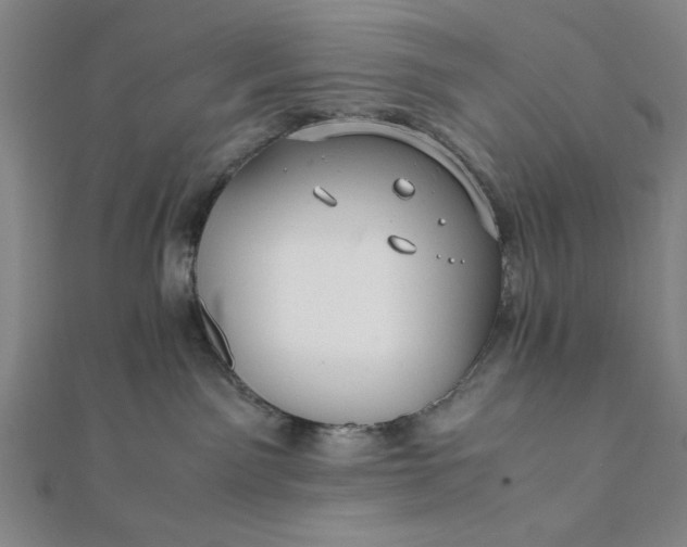 X0000112050141200908181144